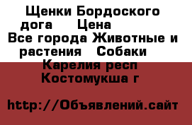 Щенки Бордоского дога.  › Цена ­ 30 000 - Все города Животные и растения » Собаки   . Карелия респ.,Костомукша г.